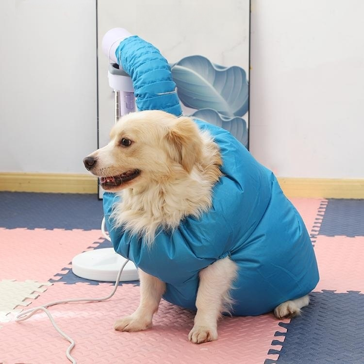 dog using blue dryer