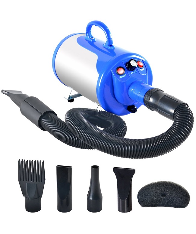 dog dryer and accessories